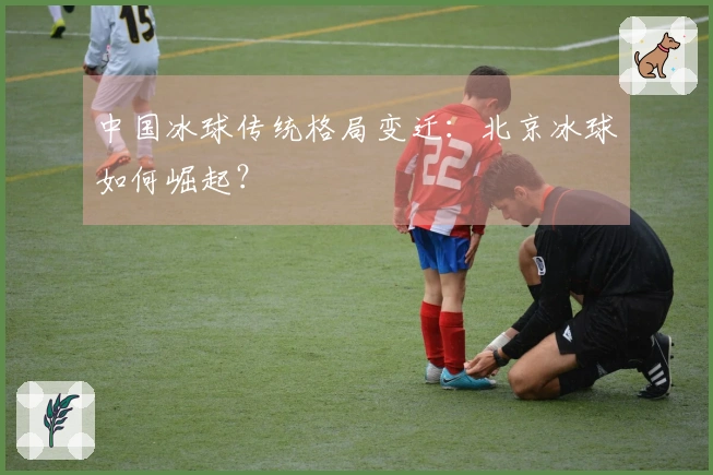 中国冰球传统格局变迁：北京冰球如何崛起？