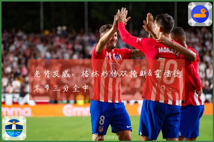 老将发威，格林妙传双抢断&霍福德末节三分全中