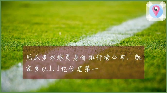 厄瓜多尔球员身价排行榜公布，凯塞多以1.1亿位居第一